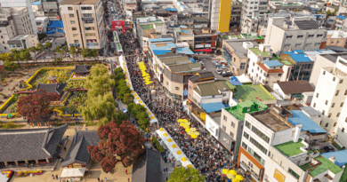 만두 향기로 물든 원주 구도심, ‘2025 원주만두축제’ 41만 명 몰리며 대성황